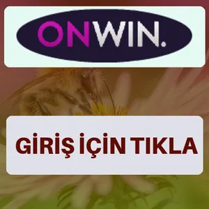 Onwin giriş